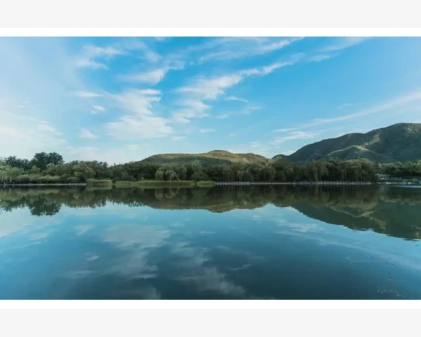 减肥蔬菜日吃什么？从中医角度探讨合理的蔬菜搭配