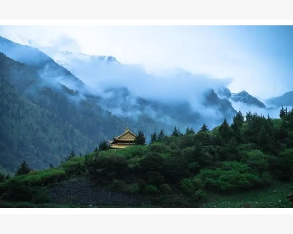 脾胃不好，拔罐是好办法
